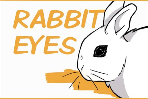 7 Fun Facts About Rabbit Eyes and 5 Problems to Look Out For