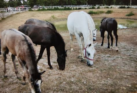 White Horses Location Research – The White Horses Television Series