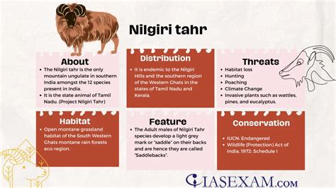 Nilgiri tahr - IAS EXAM