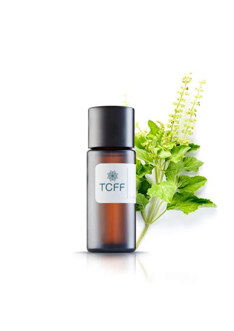 HOLY BASIL OIL - Tcff Thailand