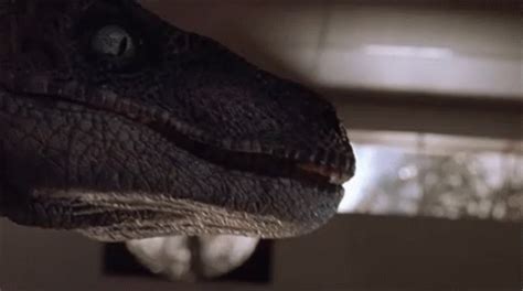 Raptor Velociraptor GIF - Raptor Velociraptor Jp - Discover & Share GIFs