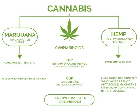 HEMP vs CBD vs THC - Cannabis Care Clinic