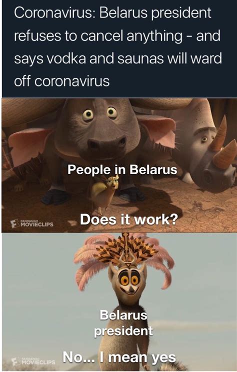 Madagascar meme : r/memes