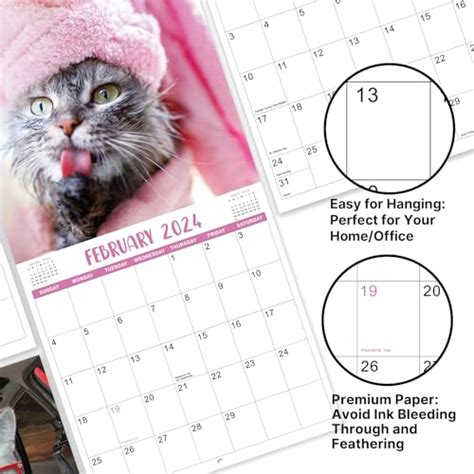 Snapklik.com : 2024 Wall Calendar - Funny Cat Calendar 2024, Jan 2024 ...