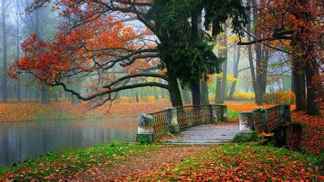 🔥 Free Download Autumn Hd Landscape Wallpaper Beauty Tree Bridge Tablet ...