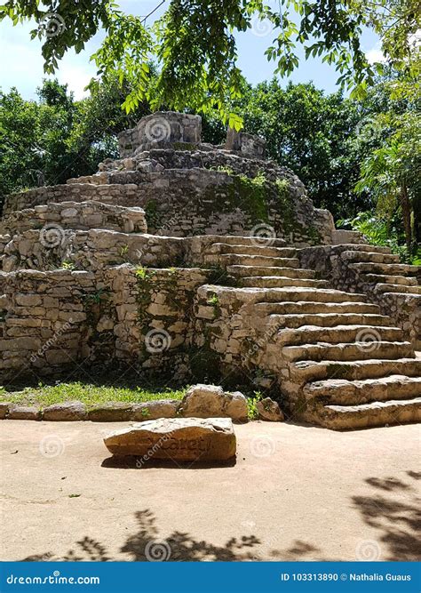 Xcaret eco park stock photo. Image of nature, richness - 103313890