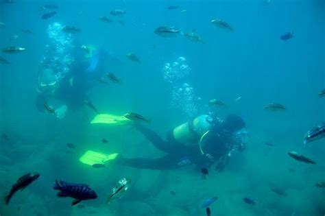 Lake Malawi diving & snorkeling - Cedarberg-Travel.com