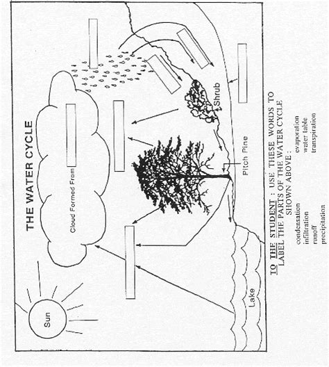 blank water cycle diagram to label