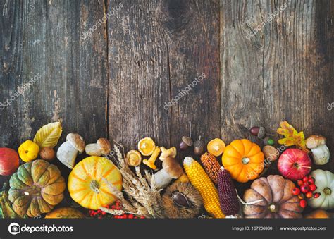 Harvest or Thanksgiving background Stock Photo by ©alexraths 167236930