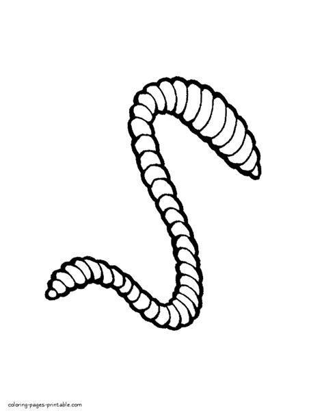 Realistic worm coloring sheet || COLORING-PAGES-PRINTABLE.COM