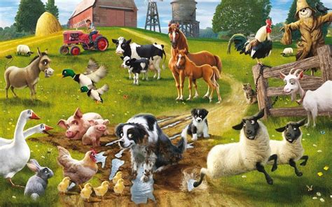 Farm Animals Wallpapers - Top Free Farm Animals Backgrounds ...