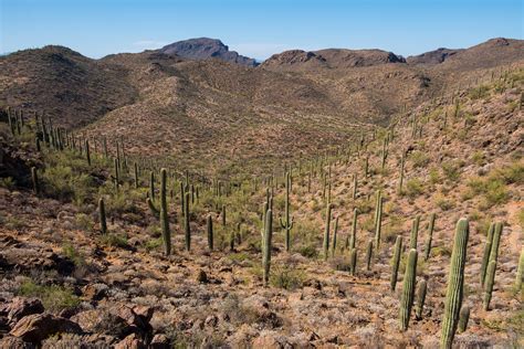 30 Photos of Arizona's Sonoran Desert | Gearminded