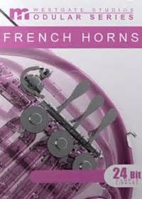 Big Fish Audio - French Horn Solo Modular Series Download ...