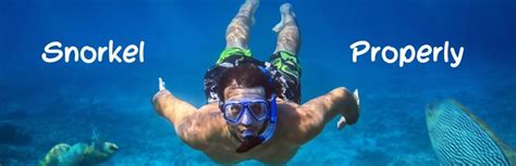 What Is Snorkeling - Snorkelo