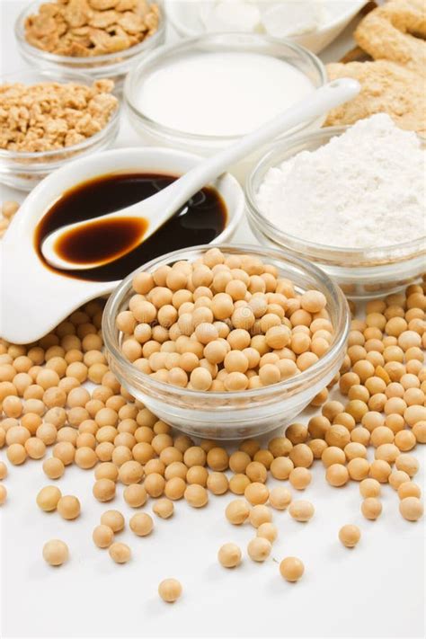 Soybean Products stock image. Image of alternative, chunk - 28684573