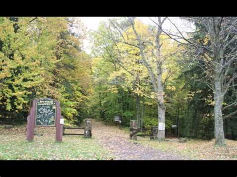 Video of Allegany State Park Fall Colors Fading, Falling Fast ...