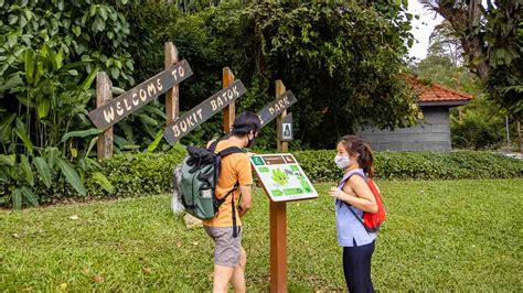 The Ultimate List of Hiking Trails in Singapore — From Chill to Adventurous