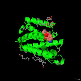 Rhomboid protease - Proteopedia, life in 3D