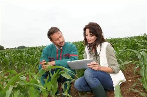 How to Become an Agricultural Engineer - Degrees & Careers