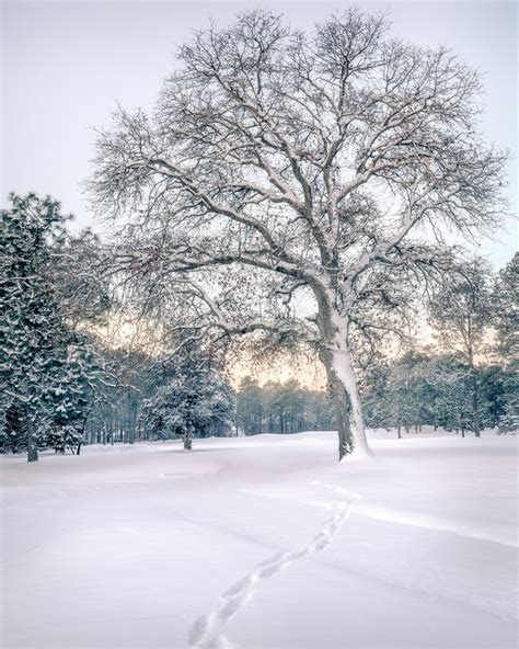 The Issue with Winter Landscape Photography — Mark Denney | Landscape ...