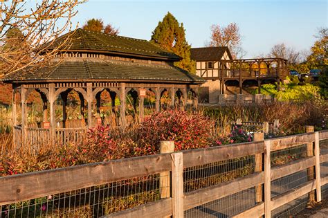 The Beauty of Fall Walks Through the Botanical Gardens | Creation Museum