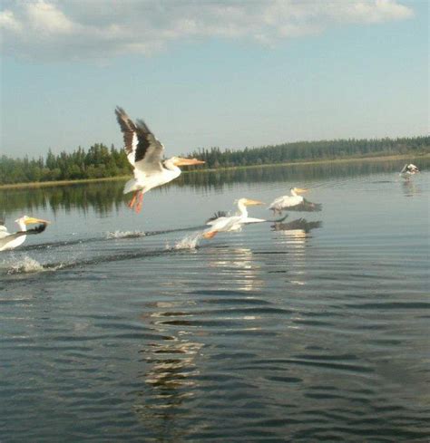 Pictures of Northern Saskatchewan