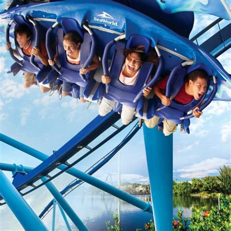 SeaWorld Orlando | Top Must-See Theme Park Attractions