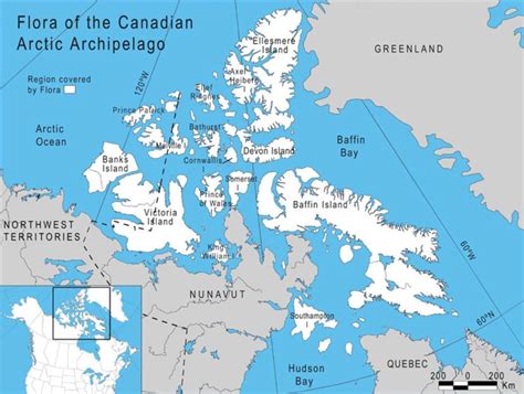 Flora of the Canadian Arctic Archipelago - Canadian Museum of Nature