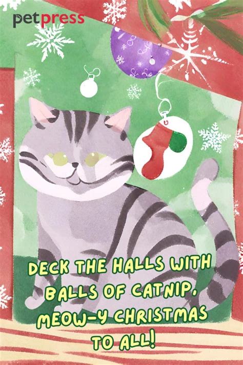 85 Hilarious & Festive Phrases for Cat Christmas Card Quotes