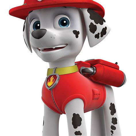 Kids Tv Meet Your Favorite Paw Patrol Characters