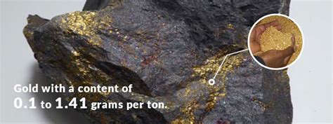 8 Types of Gold Ore - Properties and Ways to Process | Fote Machinery