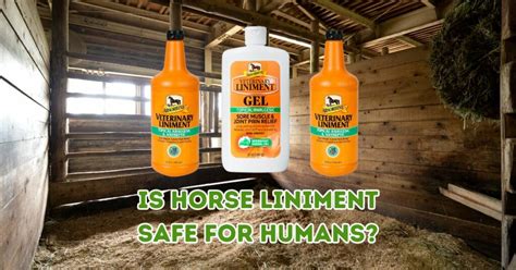 Is Horse Liniment Safe for Humans? 2024 Guide