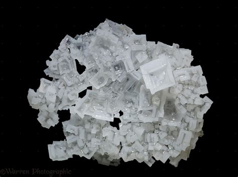 Salt crystals photo WP40231