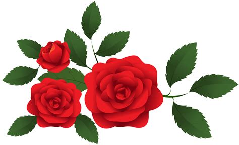 Rose border png, Rose border png Transparent FREE for download on ...