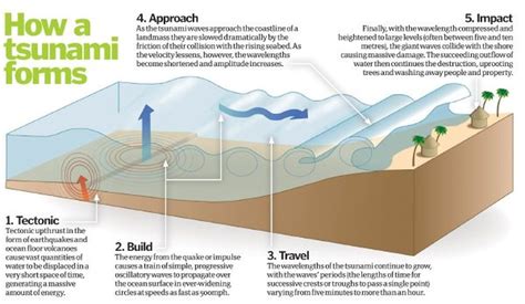 Causes of tsunami - Geography from KS3 to IB