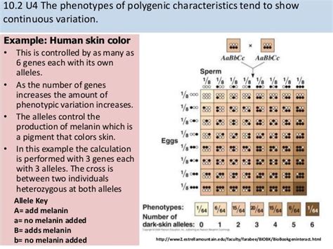 Color Blindness Genetics ~ wallpaper andri