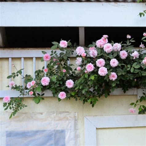 DIY Planter with Solar Fountain - Flower Patch Farmhouse