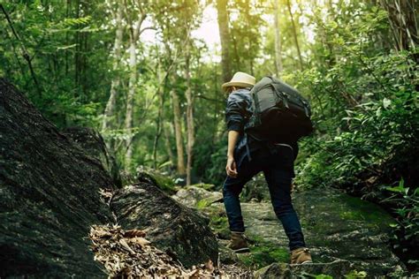 7 Best Hiking Trails For Hiking In Yukon