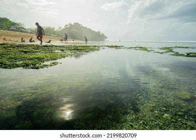 87 Pantai Sundak Images, Stock Photos & Vectors | Shutterstock