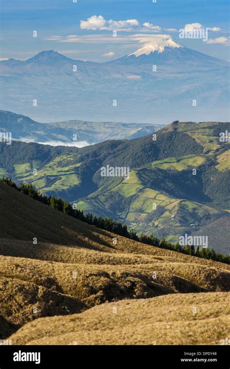 Cotopaxi volcano from Cotacachi volcano, Otavalo, Ecuador Stock Photo ...