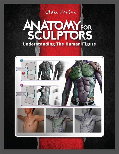 ANATOMY FOR SCULPTORS cover design by anatomy4sculptors on DeviantArt