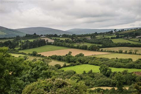 Irish Countryside Near Dublin - Betty Sederquist Photography