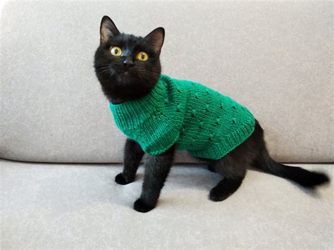 Hand knitted cat sweater Jumper for cat pet Sphynx cat sweater | Etsy