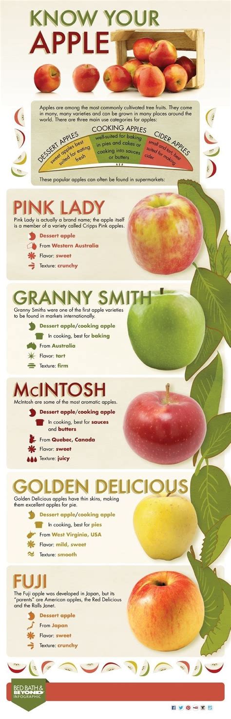 55 best images about Apple Varieties-Cultivars on Pinterest | Crisp ...