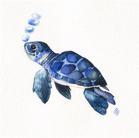 Baby Sea Turtle Drawing - Drawing.rjuuc.edu.np