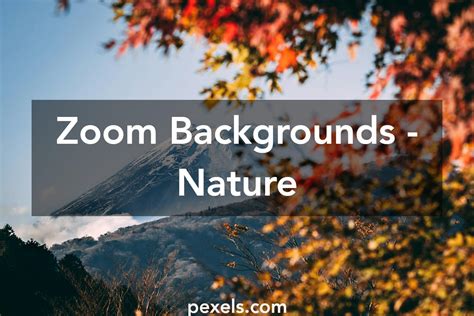 Zoom Backgrounds - Nature · Pexels