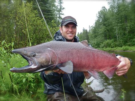 Kings On the Fly: Fishing for Alaska’s Most Sought After Salmon ...