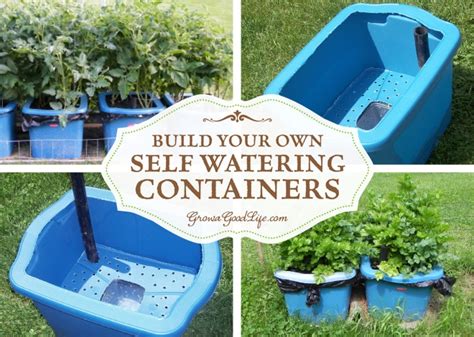 Build Your Own Self Watering Containers