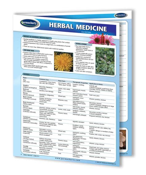 Herbal Medicine Guide - Quick Reference Resource