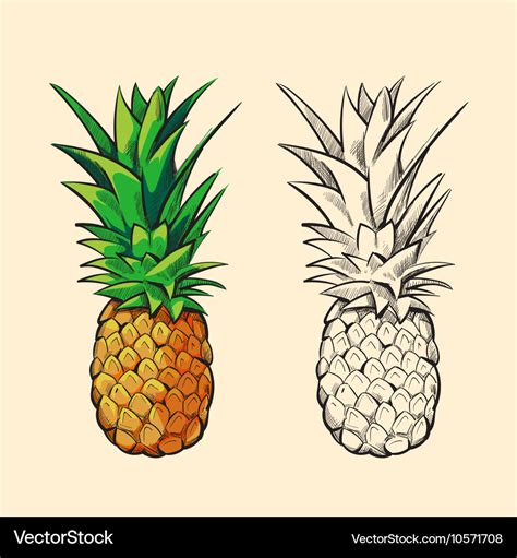 Outline pineapple and color cartoon Royalty Free Vector